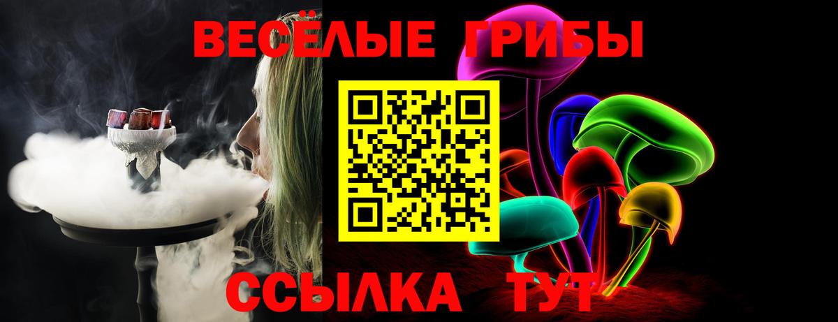Ейск  Галлюциногенные грибы GOLDEN TEACHER  Вход с VPN  Галлюциногенные грибы мицелий 