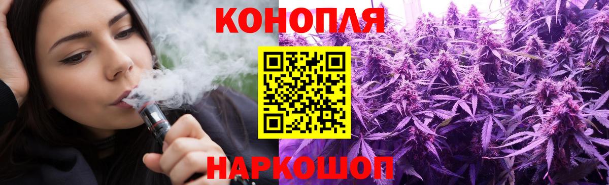 Бошки Шишки сатива Ейск